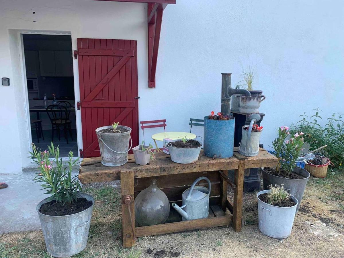 Le Depot Appartement Du Port A Champvert 外观 照片